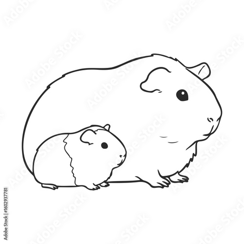 Outline drawing of large and small guinea pigs in profile – stock vector icon in line style