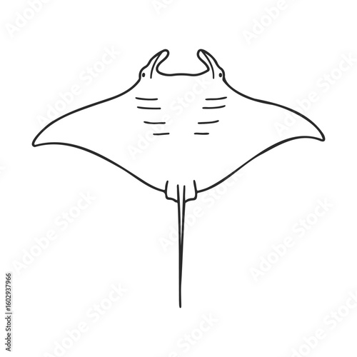 Elegant manta ray outline with simple black lines on white background – stock vector icon in line style
