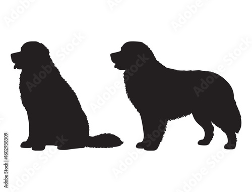 BERNESE MOUNTAIN DOG SILHOUETTE