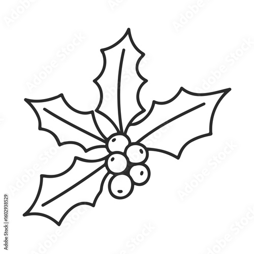 Black and white holly leaves and berries illustration – stock vector icon in line style