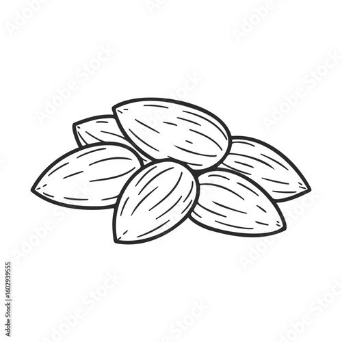 Black and white illustration of almond nuts pile – stock vector icon in line style