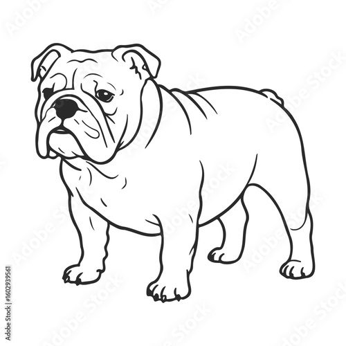 Standing bulldog line art illustration – stock vector icon in line style