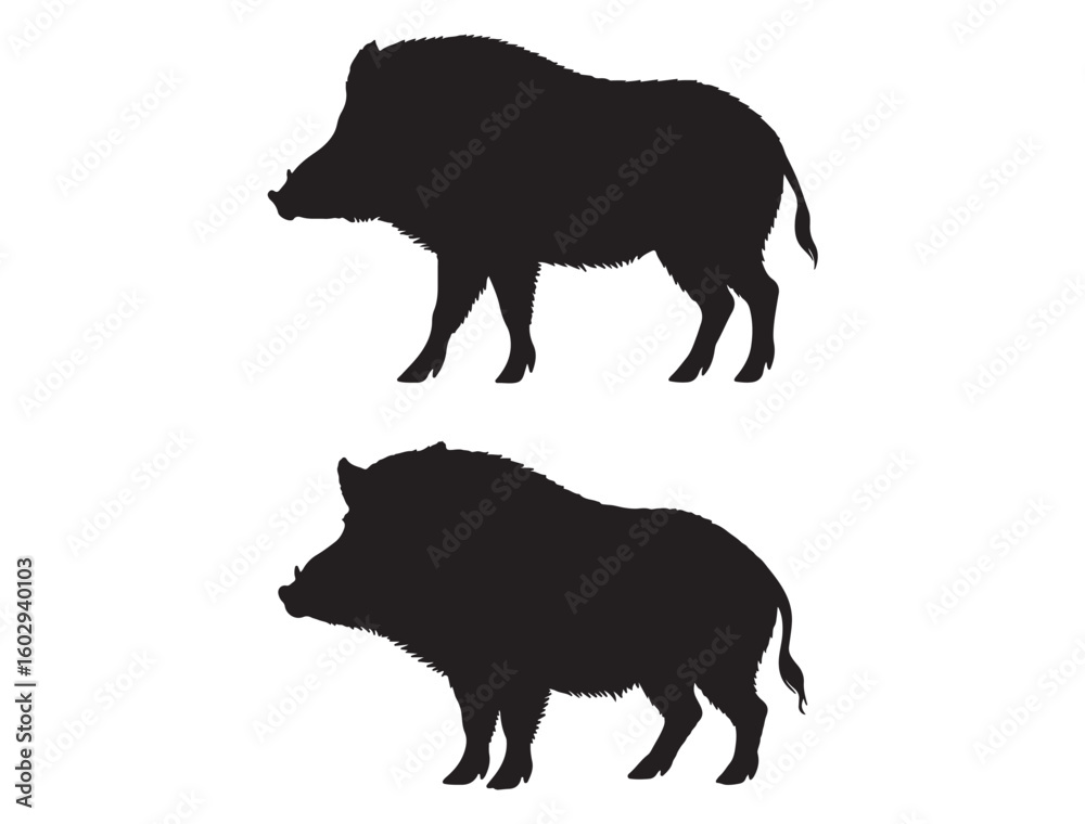 Fototapeta premium BOAR SILHOUETTE