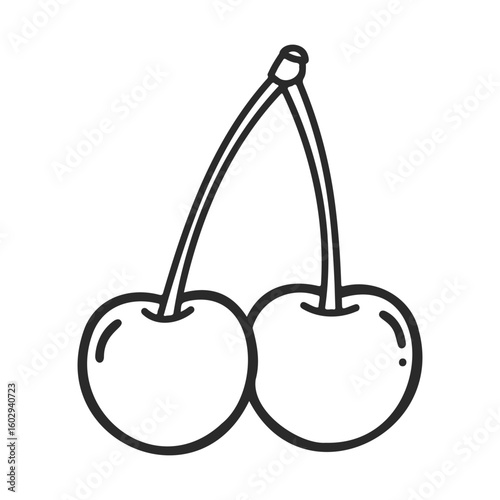 Outline of two cherries connected by stem on white background – stock vector icon in line style