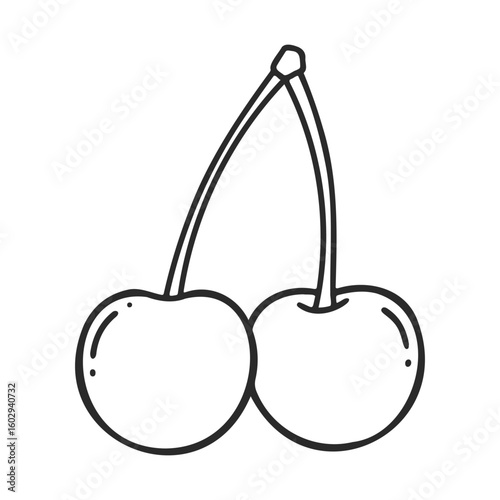 Simple black and white cherry drawing with two connected cherries on stem – stock vector icon in line style