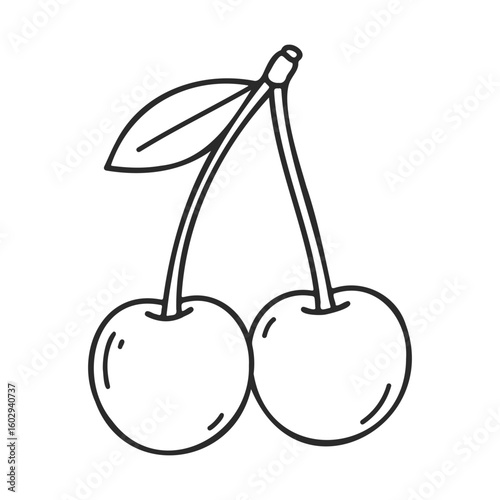 Outline drawing of two cherries with leaf on stem – stock vector icon in line style
