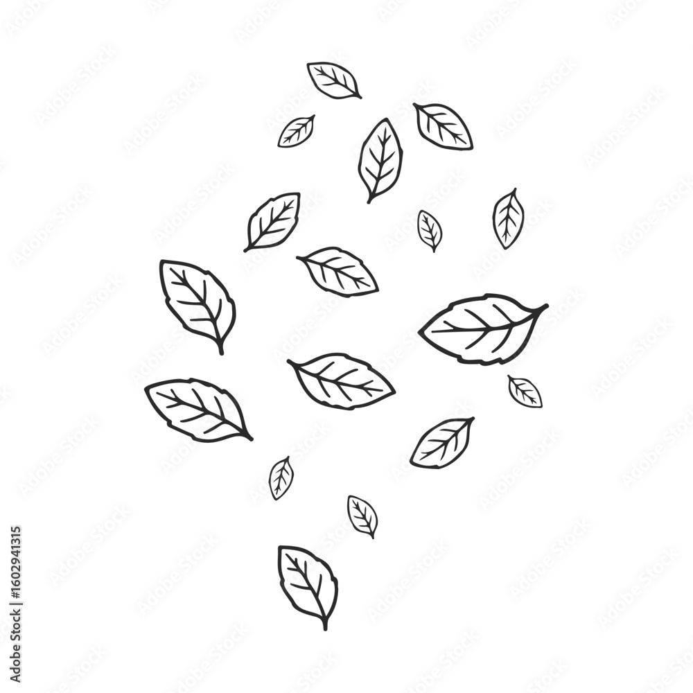 Obraz premium Minimalistic black and white leaf pattern on white background – stock vector icon in line style
