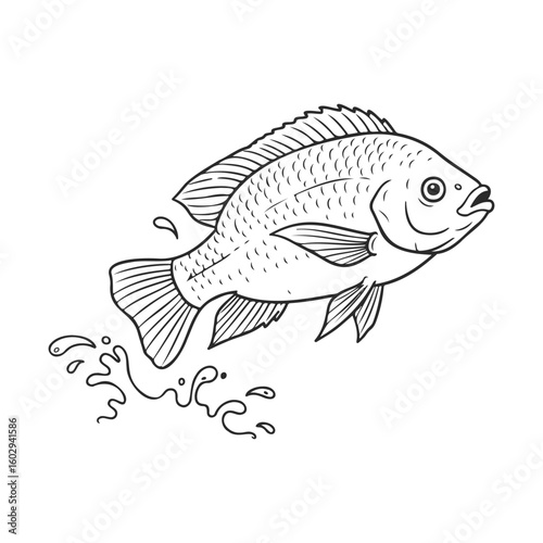 Black and white drawing of tilapia fish with water splash – stock vector icon in line style