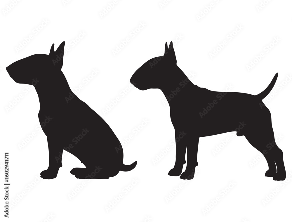 Obraz premium BULL TERRIER DOG SILHOUETTE