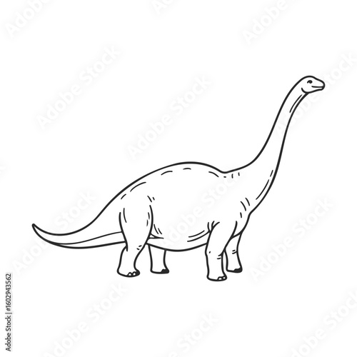 Illustration of a brachiosaurus dinosaur in black and white – stock vector icon in line style