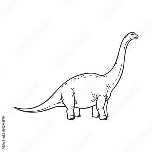 Detailed line drawing of a brachiosaurus dinosaur on white background – stock vector icon in line style
