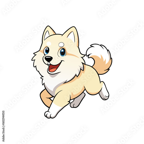 cute dog on white 