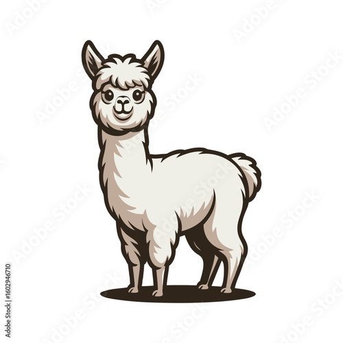 Fluffy white llama standing with dark outline alpaca animal