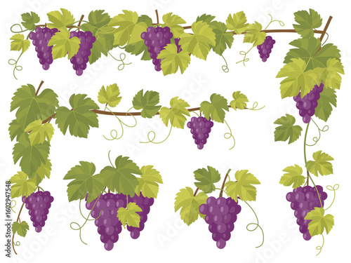  Red Grape Bunches – Clusters with Leaves and Branches for Harvest and Winemaking Design