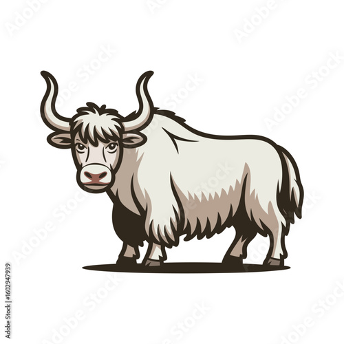 White yak with long curved horns and shaggy fur animal mammal