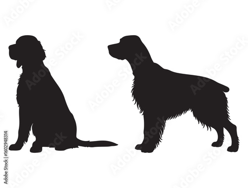 ENGLISH SETTER DOG SILHOUETTE