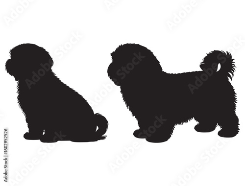 HAVANESE DOG SILHOUETTE