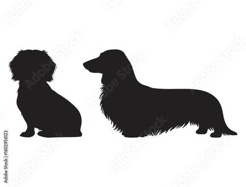 LONG HAIRED DACHSHUND DOG SILHOUETTE