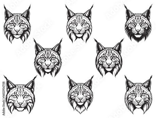 LYNX HEAD SILHOUETTE