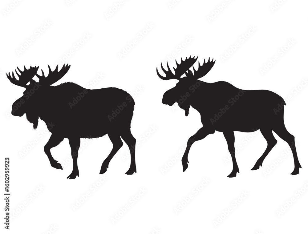 Fototapeta premium MOOSE SILHOUETTE