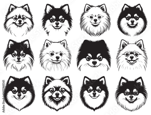 POMERANIAN DOG FACE SILHOUETTE