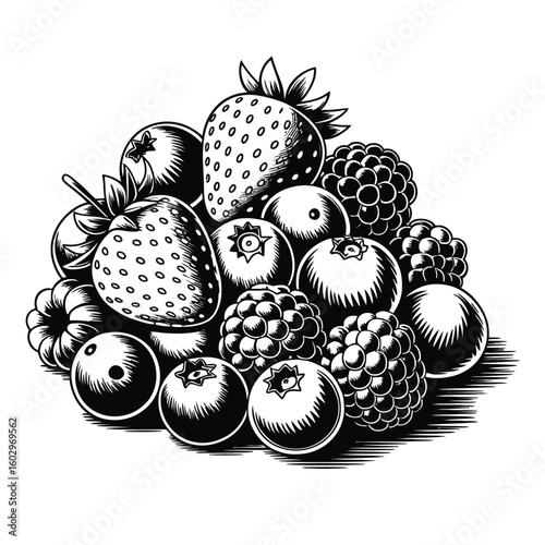 Black and white vector illustration of a detailed mixed berries bundle including strawberry, blueberry, raspberry, blackberry, and cranberry