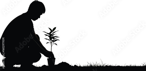 A young person planting a small tree sapling in the soil isolated on white background