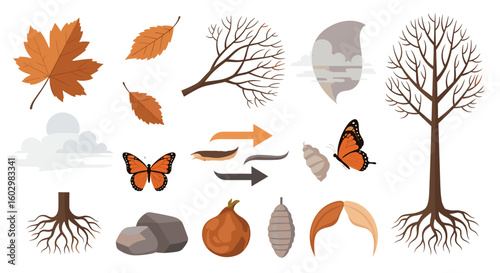 Illustration showing the life cycle of a monarch butterfly with trees leaves and clouds in the background