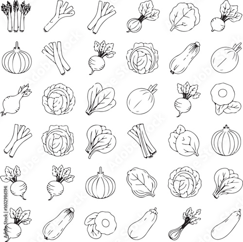 Asparagus leeks radishes onions cabbage lettuce zucchini eggplant