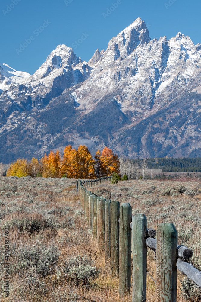 Fototapeta premium Wooden fence leading to autumn colors and the Teton mountain range