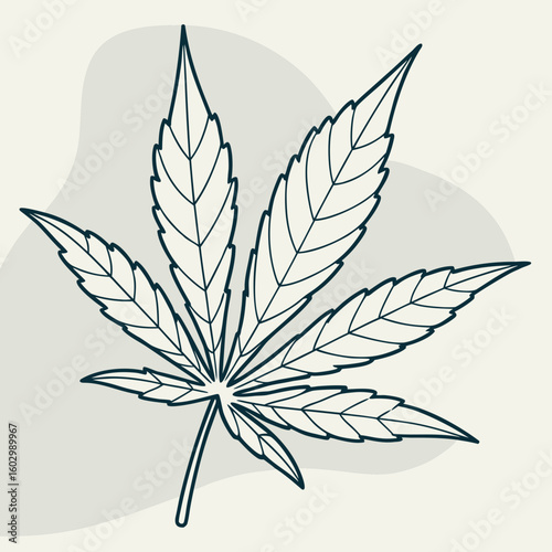 Illustration of a cannabis leaf with distinct veins and jagged edges on a light background shape
