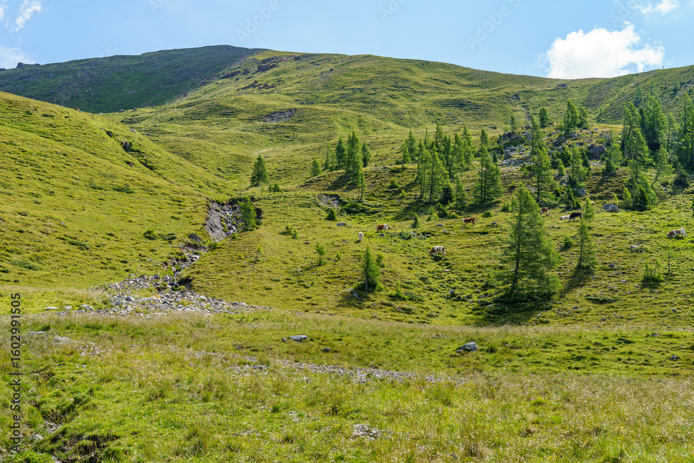 Naklejka premium Sommer in Käörnten