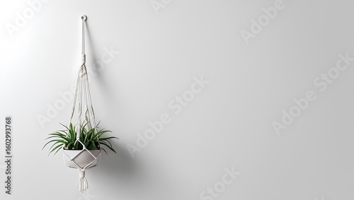 Minimalist knotted macramé plant hanger on white background with copy space - boho craft top-down shot