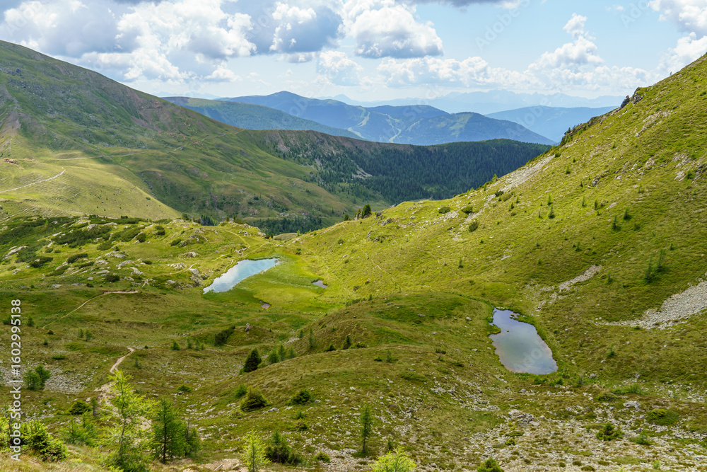 Fototapeta premium Kärnten in Österreich zu Sommerzeit