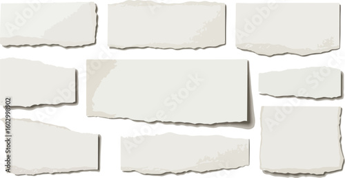 Collection of torn paper pieces isolated on transparent background