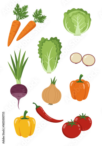 A colorful illustration showcasing various fresh vegetables, including carrots, cabbage, and peppers, isolated on white.