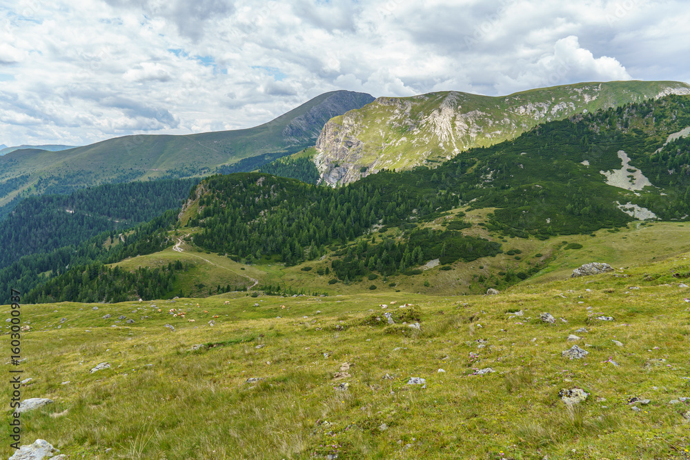 Fototapeta premium Kärnten in Österreich zu Sommerzeit