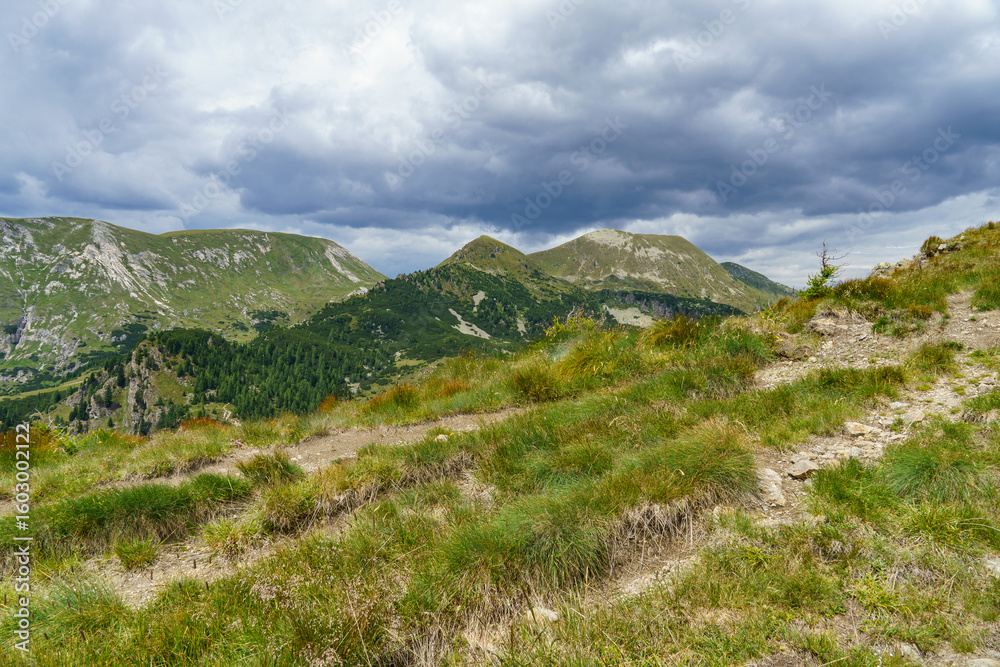 Fototapeta premium Kärnten in Österreich zu Sommerzeit