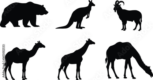 Diverse animal silhouettes including bear, kangaroo, goat, camel, giraffe, and dromedary camel for design