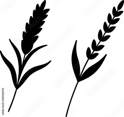 Black plants vector, plants art, plants vector art design, Vector of plants art, plants isolated