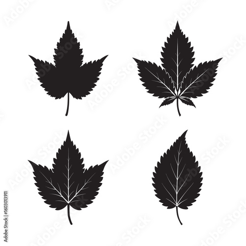 black silhouette nettle leaf set bundle on white background