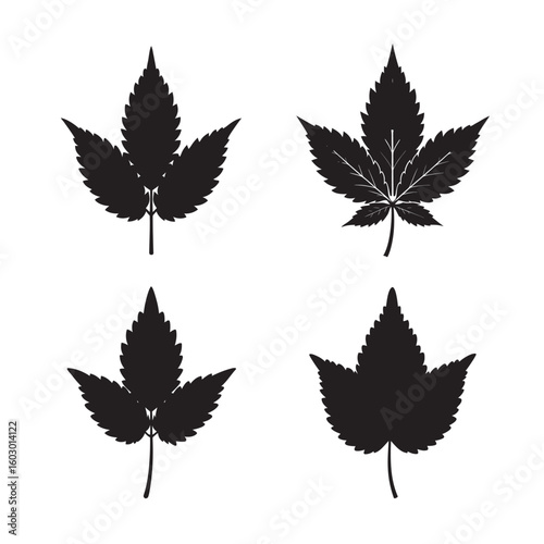 black silhouette nettle leaf set bundle on white background