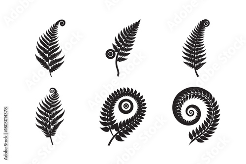 silhouette black fern frond spiral on white background