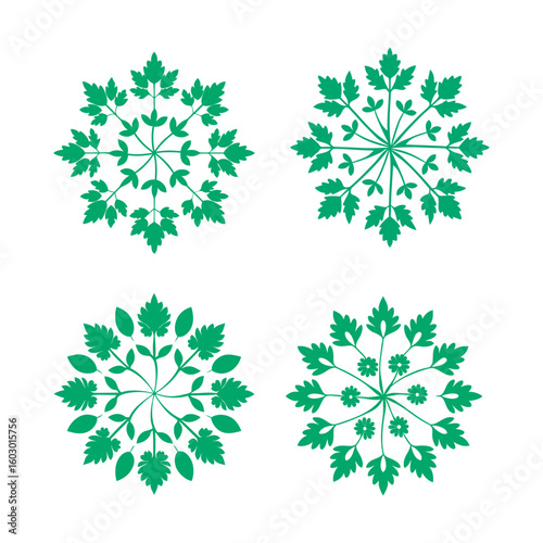 Lemon Balm Botanical Herb Mandala Design