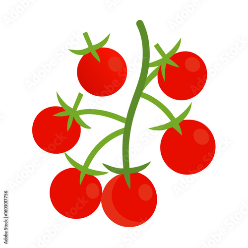 Vine Tomato Cluster Vector Food Printable Graphic for Kitchen Decor