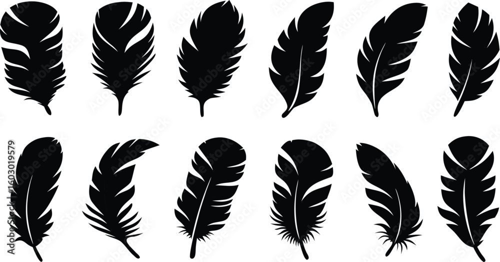 Obraz premium Black Feather Silhouettes Isolated on White, Minimal Flat Vector Collection