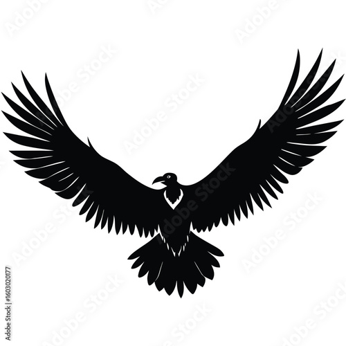 Majestic black condor soaring with wings spread wide