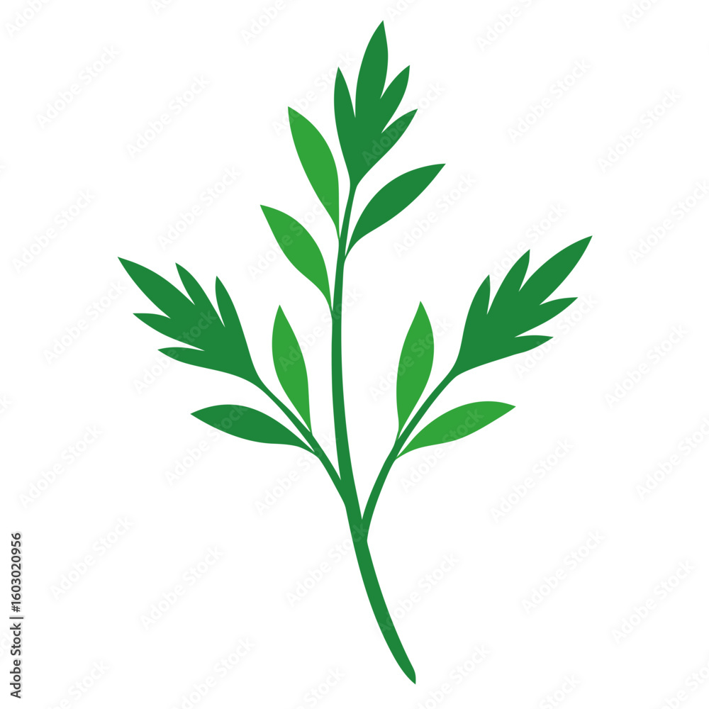 Fototapeta premium Herb Sprigs Vector Food Printable Graphic for Kitchen Decor