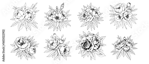 Elegant Peony Collection: Eight exquisite line art illustrations of peony flower bouquets, showcasing delicate petals and lush foliage in a monochrome style.