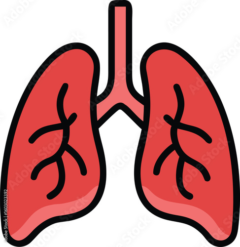 Lungs Outline Illustration of Respiratory System Anatomy and Bronchial Tree Structure